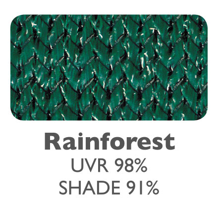 Rainforest Green